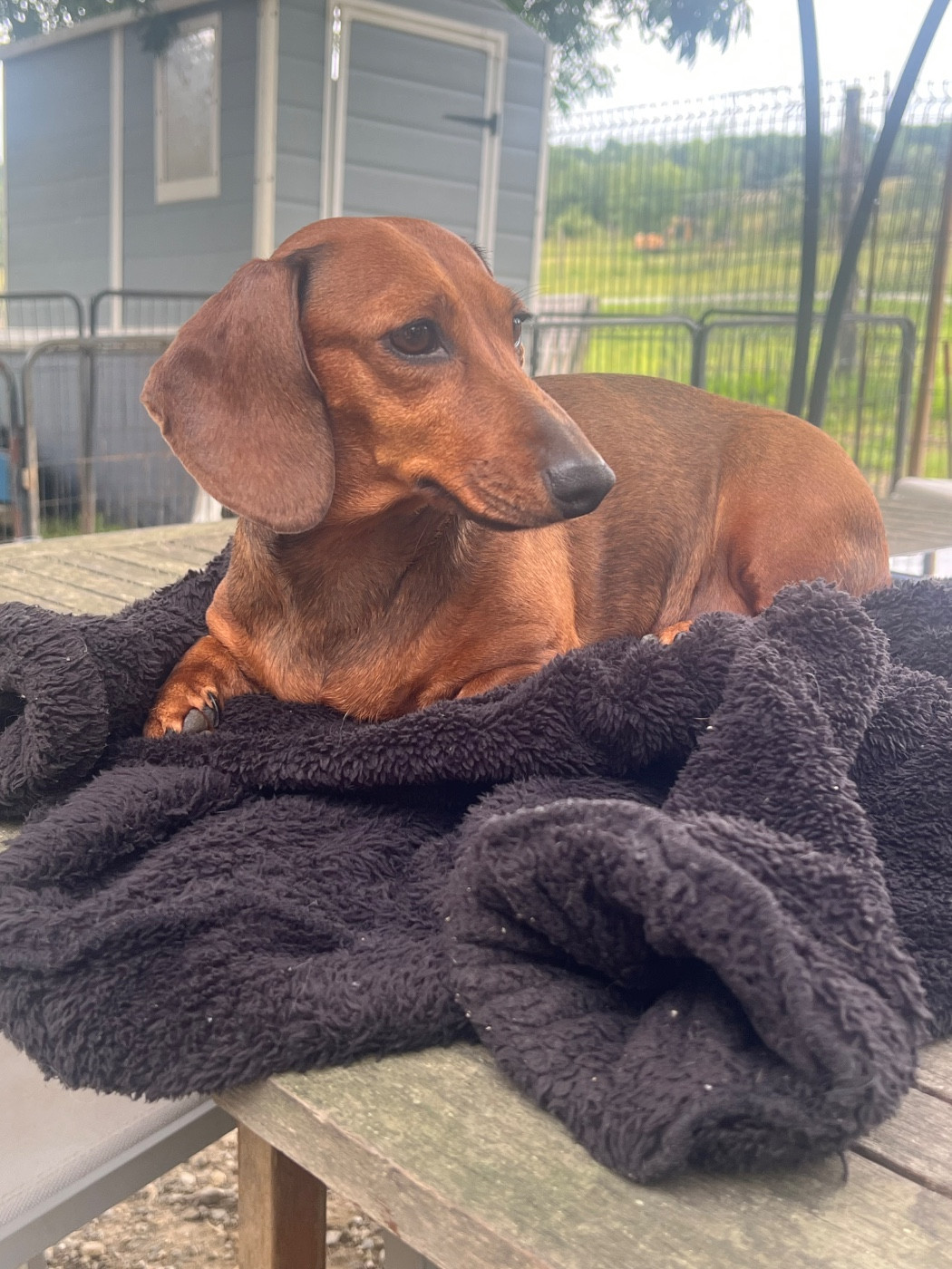 Tina de la Cité du Guerrier