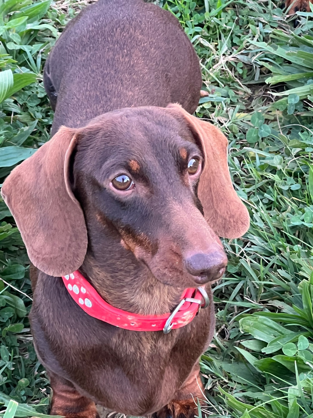 fabeltier Spin Me Round